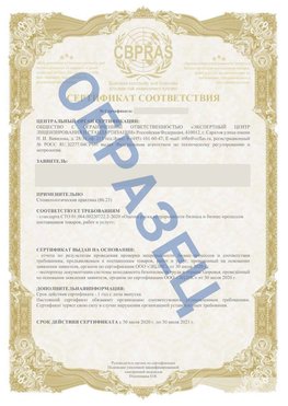 Образец Сертификат СТО 01.064.00220722.2-2020 Богданович Сертификат СТО 01.064.00220722.2-2020 